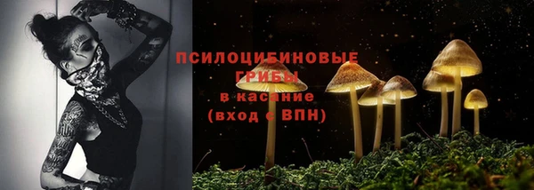 твердый Арсеньев