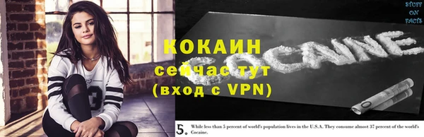 твердый Арсеньев