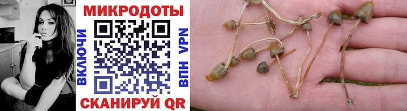 купить наркоту  МЕГА как зайти  Галлюциногенные грибы прущие грибы  Белорецк 